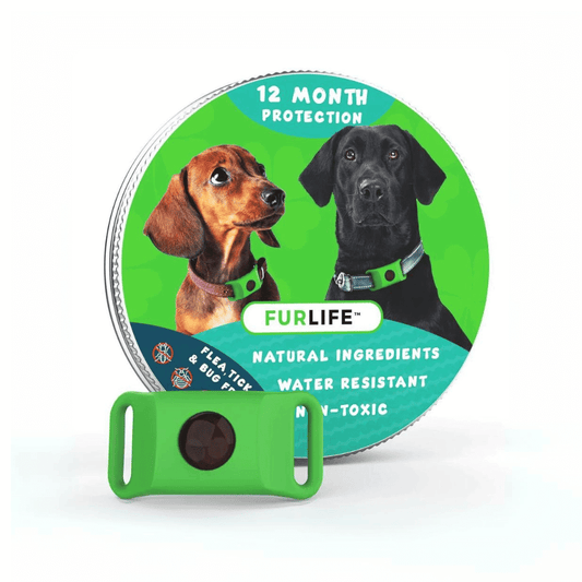 PawShield Anti-Tick Collar