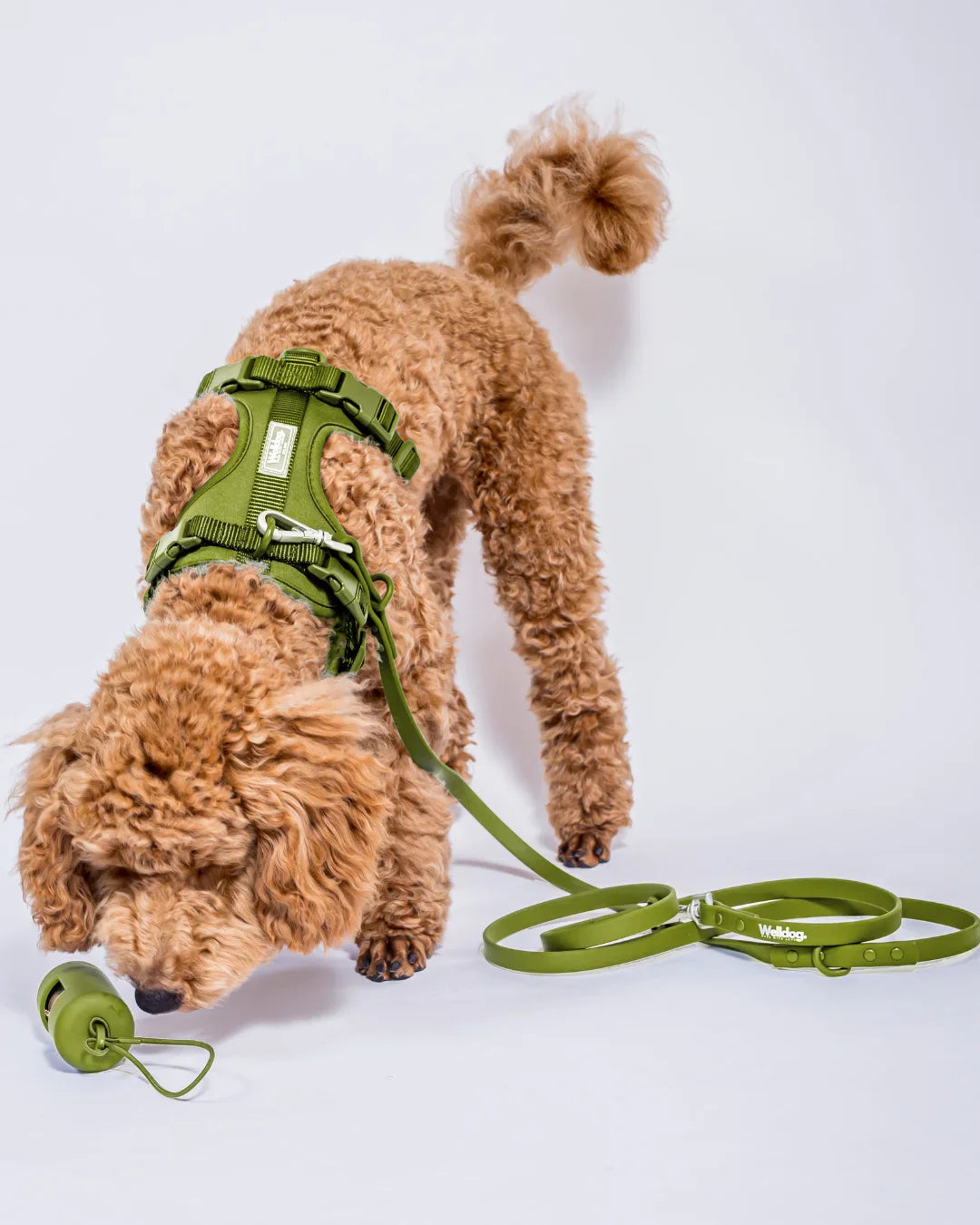 PawVentures Walk Kit 2.0