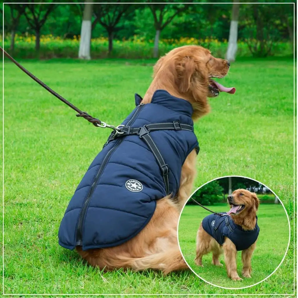 All-Weather Dog Shield Jacket