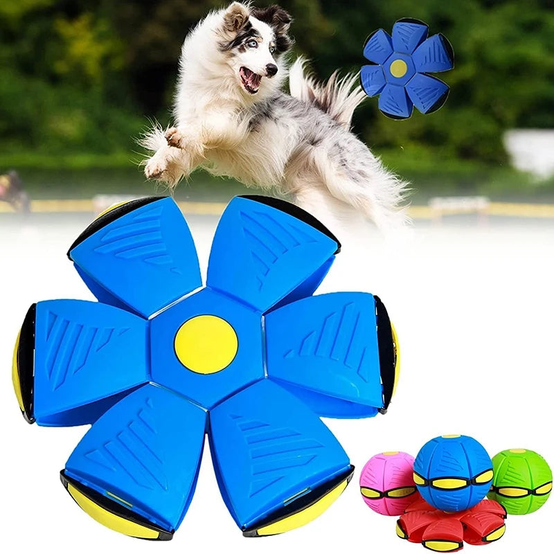 Magical Flying Disc Dog Toy