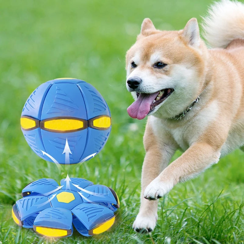 Magical Flying Disc Dog Toy