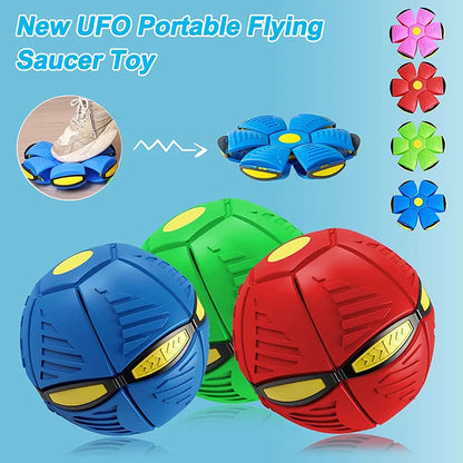 Magical Flying Disc Dog Toy