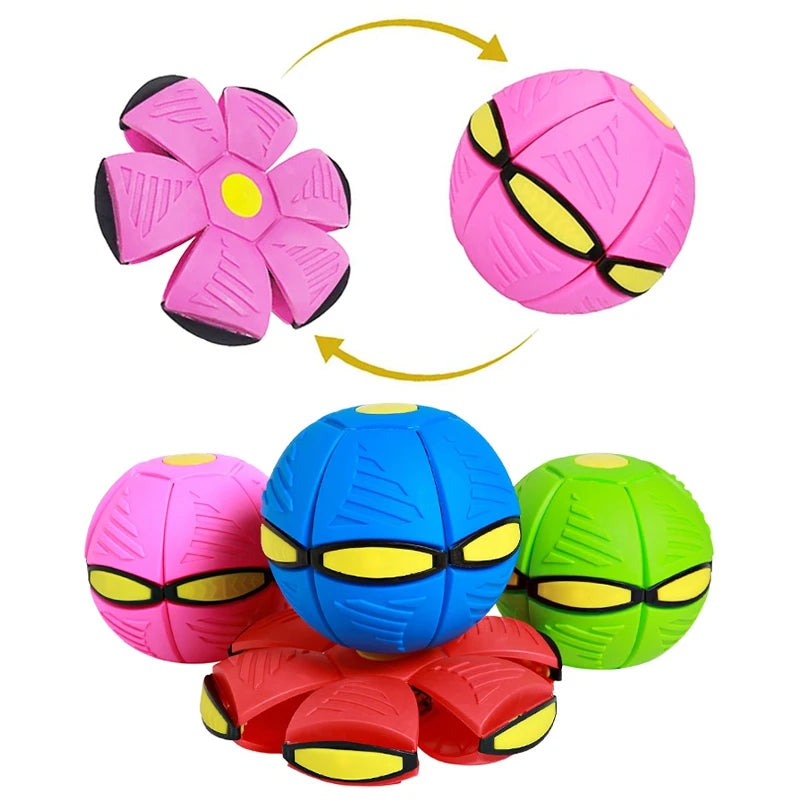 Magical Flying Disc Dog Toy