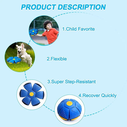 Magical Flying Disc Dog Toy