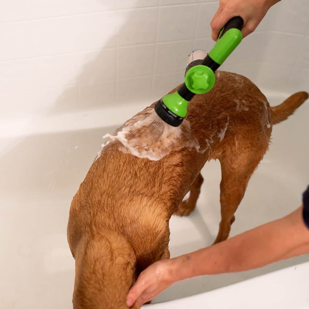 AquaPaws Dog Wash Hose Attachment