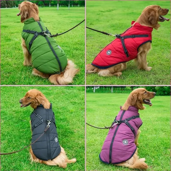 All-Weather Dog Shield Jacket